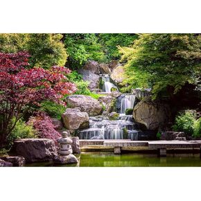 خلفية حوض السمك الشلال على غرار حديقة Kyoto على غرار الخلفية تيراريوم غابة صخور ضخمة صخور السمكة خلفية السقوط مجرى النهر الخلفية الخلفية الشلال