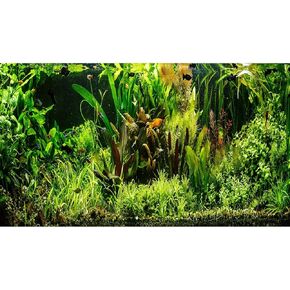 Aquarium Background Underwater Tropical Freshwater Fish Tank Background Lush Green Aquatic Plant Terrarium Tank Background Under Water Plants Jungle Style Aquarium Fish Tank Wallpaper 36x24in
