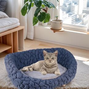 Halinfer Modern Pet Sofa للقطط والكلاب الصغيرة إلى المتوسطة ، تصل إلى 20 رطلاً ، وغرفة معيشة وأثاث الحيوانات الأليفة (الأزرق البحري ، بلوم)
