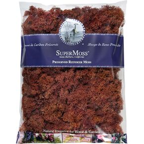 SuperMoss (25625) Reindeer Moss Preserved Bag, 16 oz, Rust