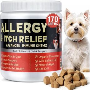 Allergy Allergy Chews 170 Treats - Ensolergy Relief Chews للكلاب - حبوب الجلد التي تحاكم الكلاب - حكة في حكة ولعق المخلب ، علاج البقع الساخنة - مكملات الجلد والمعطف - القلب ، الدماغ ، صحة المفاصل