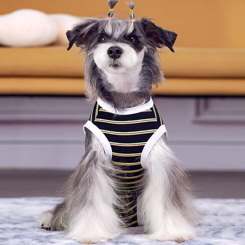 Dog Surgical Recovery Suit, Spay Recovery Suit for Dogs Cats, Post Surgery Dog Onesie for Male Female, Soft Comfortable & Breathable (Purple Stripe-L) in Kuwait
