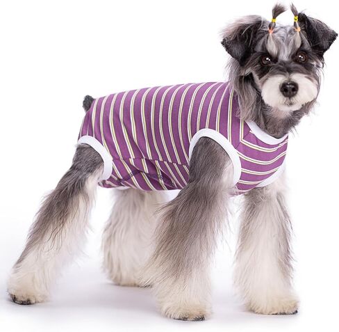 Dog Surgical Recovery Suit, Spay Recovery Suit for Dogs Cats, Post Surgery Dog Onesie for Male Female, Soft Comfortable & Breathable (Purple Stripe-L) in Kuwait