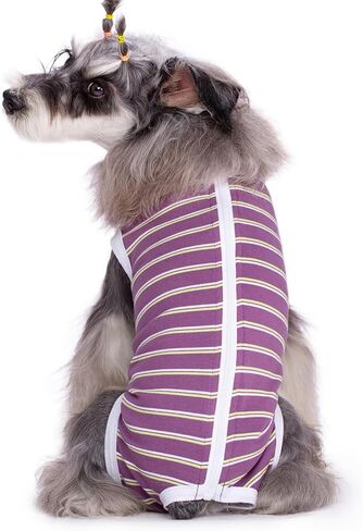 Dog Surgical Recovery Suit, Spay Recovery Suit for Dogs Cats, Post Surgery Dog Onesie for Male Female, Soft Comfortable & Breathable (Purple Stripe-L) in Kuwait