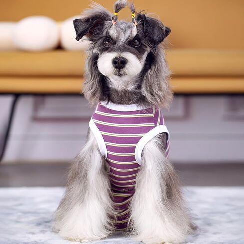 Dog Surgical Recovery Suit, Spay Recovery Suit for Dogs Cats, Post Surgery Dog Onesie for Male Female, Soft Comfortable & Breathable (Purple Stripe-L) in Kuwait