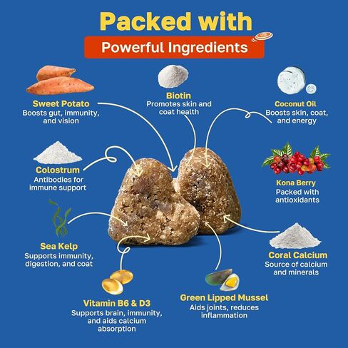 Multivitamin for Dogs, Soft Chews with Green Lipped Mussel, Sea Kelp, Colostrum, & Essential Vitamins for Overall Health, 100 Lamb Flavor Soft Chews in Saudi Arabia