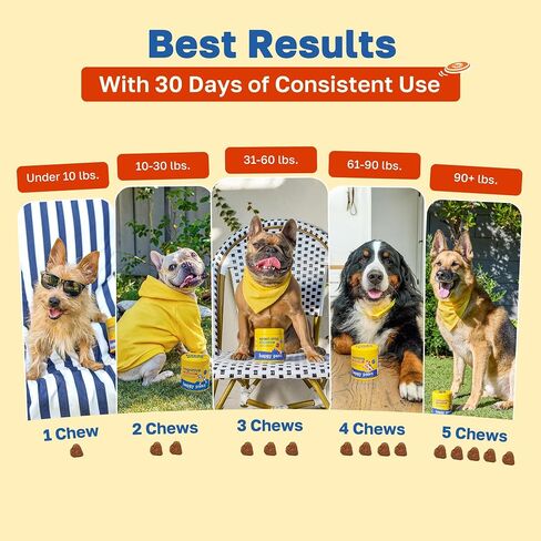 Multivitamin for Dogs, Soft Chews with Green Lipped Mussel, Sea Kelp, Colostrum, & Essential Vitamins for Overall Health, 100 Lamb Flavor Soft Chews in Saudi Arabia