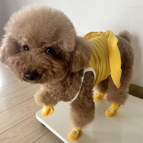 4Pcs Waterproof Dog Boots Dog Shoes for Snow and Rain Teddy Pomeranian Bichon Dogs (Yellow, Small (1-3Ib)) in Saudi Arabia