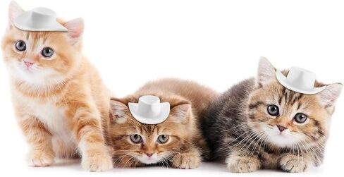 40 Pieces Plastic Mini Cowboy Cowgirl Hat Western Hat Cupcake Toppers Miniature Cute Doll Party Toy Accessories for Dollhouse Decorations in Saudi Arabia