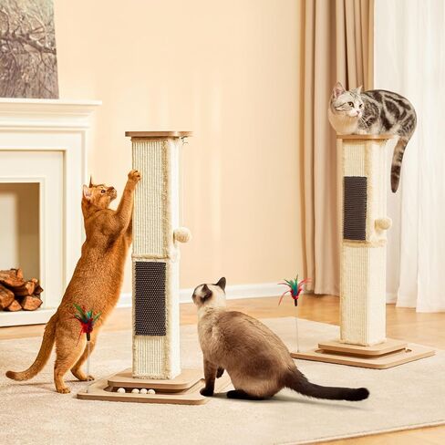 Cat Scratching Post Post Simsal Scratch Posts للقطط الداخلية للبالغين البالغين Cat Scratch Furniture Protector Garge Cat Scratcher Toys Taw 33 Int in Kuwait