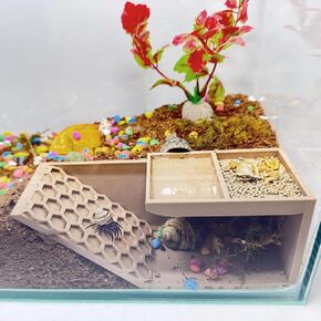 Hermit Crab Hideaway ، الموائل تحت الأرض ولعبة التسلق ، المأوى المطبوع ثلاثي الأبعاد لسرطان البحر ، السلاحف ، السلاحف ، السحالي ، والطيران الخشبية (لون الخشب ، اليسار)
