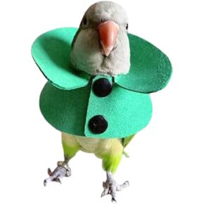Pet Parrot Anti-bite Elizabethan Collars, Anti-Grab Feather Plucking Wound Healing Safety Recovery Collar Cones for Budgerigar Lovebird Conure Cockatiel Cockatoo Random Color (L)