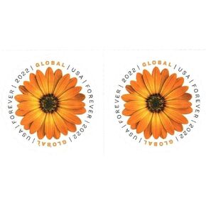 Chrysanthemum 2020 Global International Mail (2 Stamps) Forever Postage Stamps