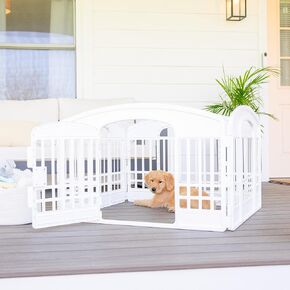 Carlson 4-Panel Plastic Pet Pen-Portable و Secure و Easy-Stude Playpen للحيوانات الأليفة الصغيرة | طوله 24 بوصة ، أبيض ، يشمل الباب والقفل ، مثاليًا للحيوانات الأليفة الصغيرة ، والاستخدام الداخلي/في الهواء الطلق
