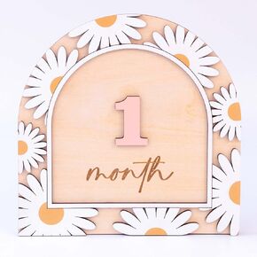 Wooden 3D Baby Baby Monthly Milestone Cards Monthly Divis Divis Meleborn Propoard Props Sign Baby Baby (BBL1)