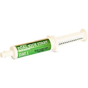 معجون Kickstart Foal Foal - مثالي للمهرات حديثي الولادة في اليوم الأول لدعم صحة الجهاز المناعي والجهاز الهضمي ، أنبوب واحد