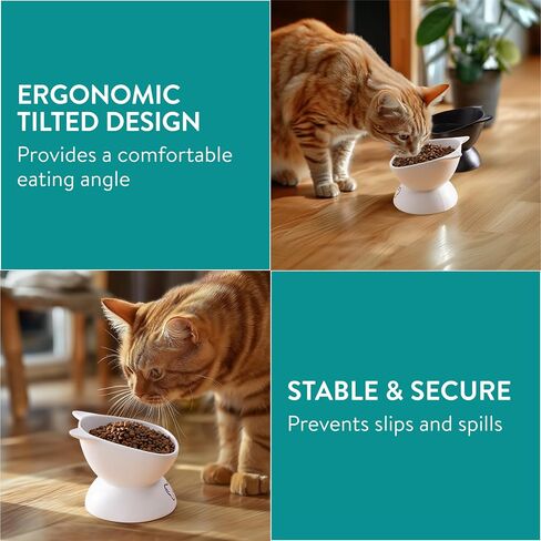 Navaris Cat Bowls Set of 2-400 ml Volume Marks for Accurate Feeding - Ceramic Bowl Elevated for Improved Digestion and Posture for Cats - Suitable for Dishwasher Use in Saudi Arabia