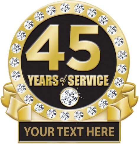 1 Year of Service Pin, 1 Year Award Pin with Rhinestone, Engraving Included Prime in Saudi Arabia