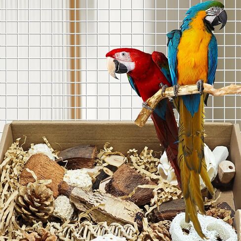 Natural Bird Foraging Toys, Shredding Toys Box,Cockatiel Toys,Bird Chew Toys for Parrots for Parakeets, Cockatiels, Budgies,Lovebirds and Other Small to Medium Birds(Nature Color) in Saudi Arabia