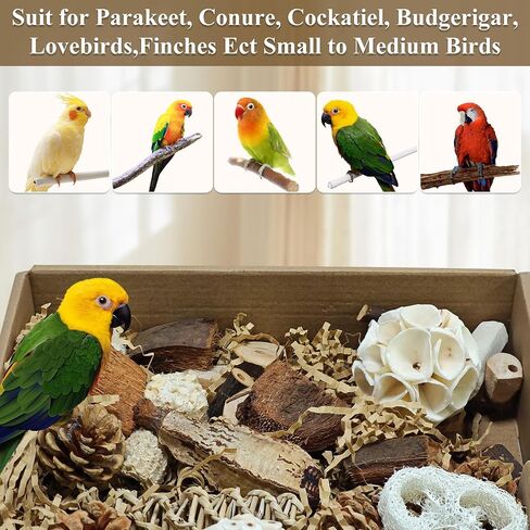 Natural Bird Foraging Toys, Shredding Toys Box,Cockatiel Toys,Bird Chew Toys for Parrots for Parakeets, Cockatiels, Budgies,Lovebirds and Other Small to Medium Birds(Nature Color) in Saudi Arabia
