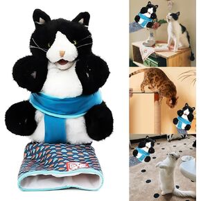 لعبة Puppet Toy Wrestling Cat ، قفاز المصارعة للقطط ، لعبة مصارعة Cat ancring ، دمية اليد مع حشوة قاسية للعب التفاعلية الآمنة ، دمى لعبة القطط للتدريب والملل الخرق والتمرين