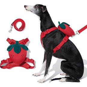 Vetreska Strawberry Dog Harness and Leash ، لا يوجد تسخير سترة الكلب للكلاب الكبيرة المتوسطة ، والمشي والتدريب ، والتحكم القابل للتعديل ، وسهولة تسخير الحيوانات الأليفة المبطنة الناعمة وحقائب الظهر (S)