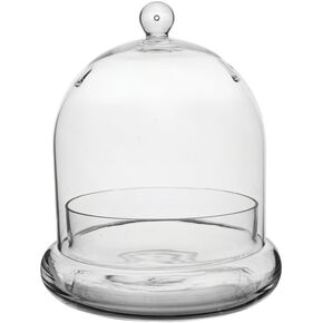 Syndicate Sales Inc 3776-04-09 7 "× 8" Terrarium Cloche