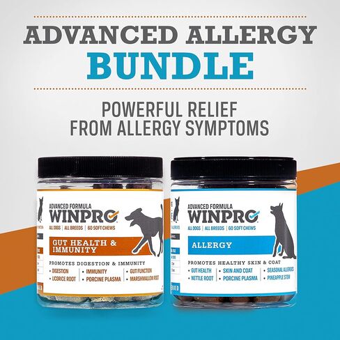 Winpro All-Natural Allergy Bundle و Gut Health حزمة ، 120 مضغ ، ومضغ ناعم خالٍ من البلازما ، مما يوفر الراحة من الجلد المهيج ، والصحة الهضمية والمناعة in Kuwait
