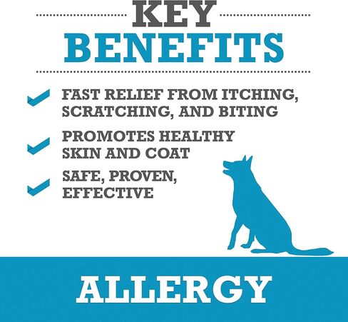 Winpro All-Natural Allergy Bundle و Gut Health حزمة ، 120 مضغ ، ومضغ ناعم خالٍ من البلازما ، مما يوفر الراحة من الجلد المهيج ، والصحة الهضمية والمناعة in Kuwait