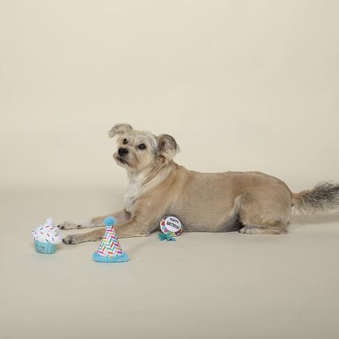 Fringe Studio "هل يمكنني الحصول على WOOF WOOF! in Saudi Arabia