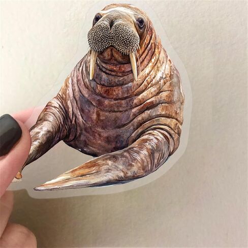 50pcs Marine Organism Transparent PET Stickers for Journaling Supplies, Lovely Sea Fish Sticker for Scrapbooking, Aesthetic Sea Animals Decor for Junk Journal Bullet Journals (SEA-PET) in Saudi Arabia