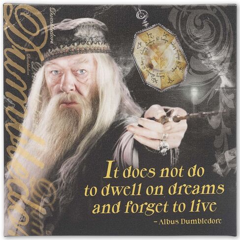 Open Road Brands Harry Potter Sirius Wanted Poster 3D Wood Wall Decor - Vintage Harry Potter Wall Art - Have You Seen This Wizard? in Saudi Arabia