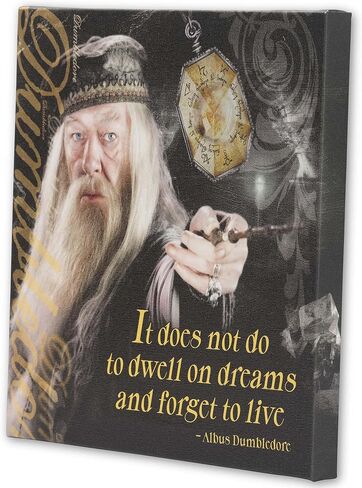 Open Road Brands Harry Potter Sirius Wanted Poster 3D Wood Wall Decor - Vintage Harry Potter Wall Art - Have You Seen This Wizard? in Saudi Arabia