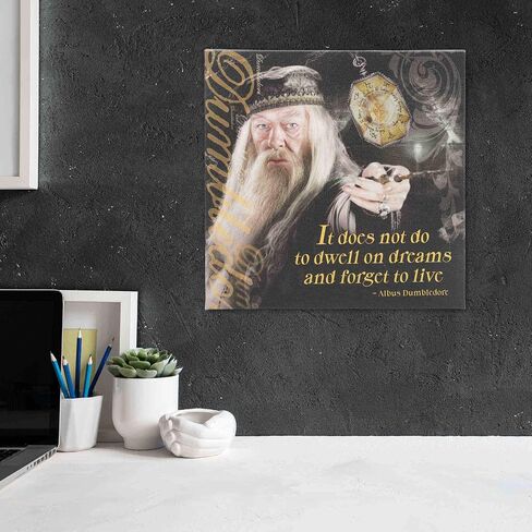 Open Road Brands Harry Potter Sirius Wanted Poster 3D Wood Wall Decor - Vintage Harry Potter Wall Art - Have You Seen This Wizard? in Saudi Arabia
