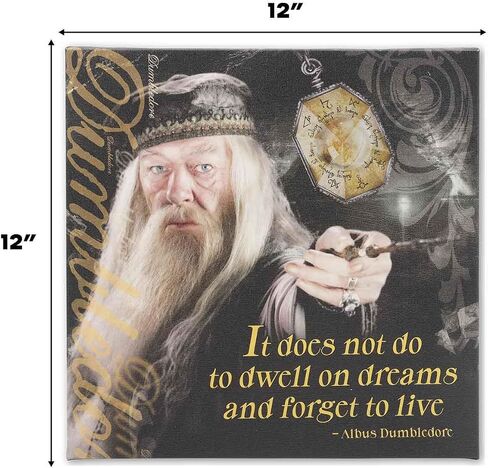 Open Road Brands Harry Potter Sirius Wanted Poster 3D Wood Wall Decor - Vintage Harry Potter Wall Art - Have You Seen This Wizard? in Saudi Arabia