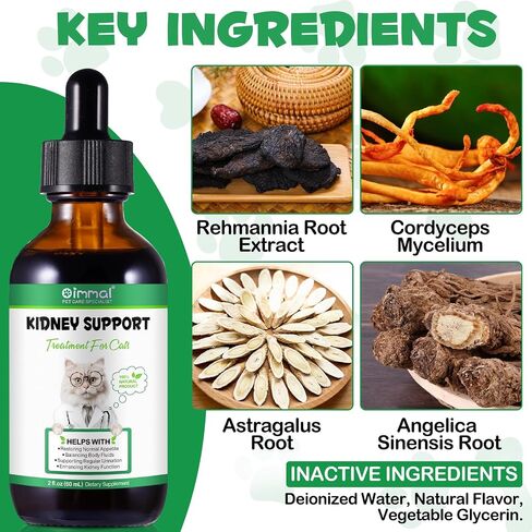 ALIVO Liver Support for Cats, Liver and Kidney Support for Cats with Natural Herbal Extract Helps Balance Cats Liver & Kidneys Health, Natural Pet Herbal Supplement for Cats - 60 ml in Saudi Arabia