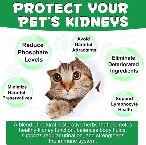 ALIVO Liver Support for Cats, Liver and Kidney Support for Cats with Natural Herbal Extract Helps Balance Cats Liver & Kidneys Health, Natural Pet Herbal Supplement for Cats - 60 ml in Saudi Arabia