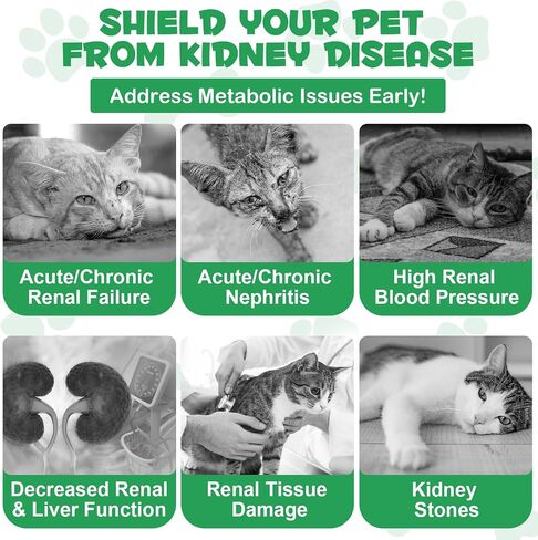 ALIVO Liver Support for Cats, Liver and Kidney Support for Cats with Natural Herbal Extract Helps Balance Cats Liver & Kidneys Health, Natural Pet Herbal Supplement for Cats - 60 ml in Saudi Arabia
