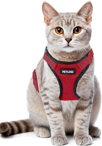Cat Harness Escape Proof with Leash for Walking, Travel Vest Soft Chest Support, Adjustable Size, Escape Proof Soft Adjustable Vest Harnesses, Breathable, Kittens, Small Dogs in Kuwait