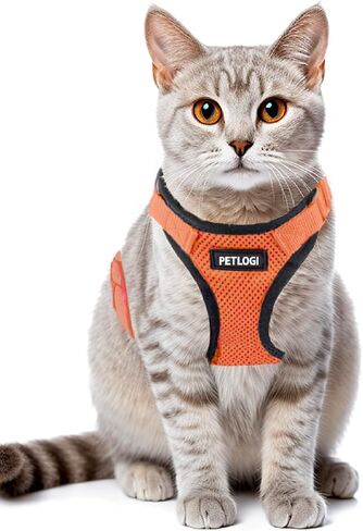 Cat Harness Escape Proof with Leash for Walking, Travel Vest Soft Chest Support, Adjustable Size, Escape Proof Soft Adjustable Vest Harnesses, Breathable, Kittens, Small Dogs in Kuwait