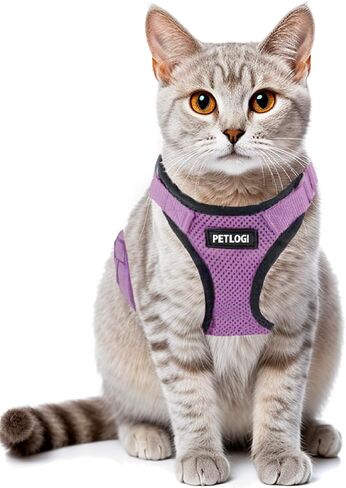 Cat Harness Escape Proof with Leash for Walking, Travel Vest Soft Chest Support, Adjustable Size, Escape Proof Soft Adjustable Vest Harnesses, Breathable, Kittens, Small Dogs in Kuwait