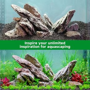 Seiryu Rock Stone with Special Liquid Glue for Aquascaping,Build Beautiful Waterscapes