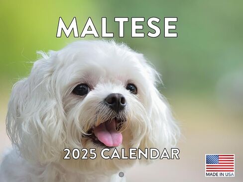 Dog Shaming Calendar 2025 Monthly Wall Calender 12 Month | American Made In The USA in Saudi Arabia