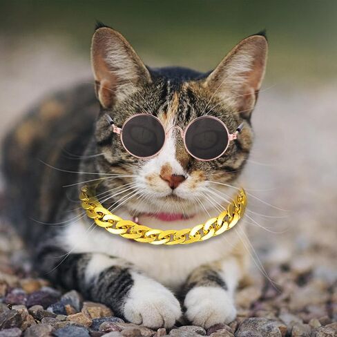 Cat Costume Sunglasses with Collar Chain, Retro Pet Eyeglasses Funny Kittens Costume Docorations Cosplay Dog Puppies Photo Props for Birthday (Rose Gold) in Kuwait