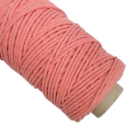 Maker's Craft Natural Macrame Cord 3mm X 109 Yards Twisted Dyed Colors for DIY Macrame, Wall Hanging, Plant Hangers, Knitting, Craft Making (Peach) in Kuwait