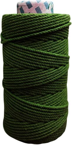 Maker's Craft Natural Macrame Cord 3mm X 109 Yards Twisted Dyed Colors for DIY Macrame, Wall Hanging, Plant Hangers, Knitting, Craft Making (Peach) in Kuwait