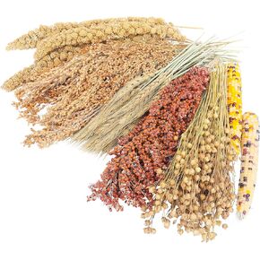 Hamster Organic Sprays Set = Wheat + Flax + Yellow Millet + Panicle Millet + Corn Cob + White/Red Sorghum Stems, Pet Habitat Bedding Decor Accessories for Hamsters