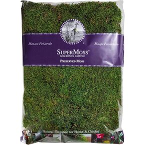Super Moss 21513 Preserved Sheet Moss, Fresh Green, 16-Ounce