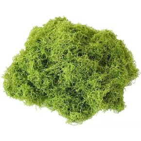 50G ديكور موس الاصطناعي واقعية - طحالب فو للحدائق الجنية والتراريوم ، حشو الطحلب خفيف الوزن للزفاف المركزية والمناظر الطبيعية المصغرة (تبعية الحرف/ديكور الحفلات)