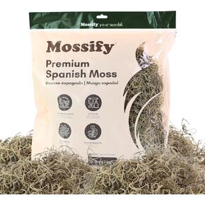Mossify Premium Spanish Moss للنباتات الداخلية والخارجية 150 جرام ، 5.3 أونصة - الطحالب الطبيعية المجففة للحرف اليدوية ، والرطوبة الاحتفاظ بالطحالب الإسبانية للتراريوم ، وترتيبات الأزهار وديكور نبات الحديقة المنزلية